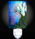 51UG0b7Mn%2BL. SL160  Buy Acrylic Fish Tanks