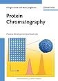Protein chromatography : process development and scale-up