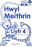 Hwyl Meithrin