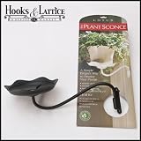 Black Plant Sconce w/ Scalloped Edge for Standard 6 Inch Pot