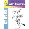 How to Draw Wild Flowers: In Simple Steps