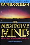 The Meditative Mind: The Varieties of Meditative Experience