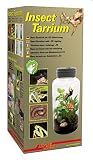 Lucky Reptile Insect Tarrium