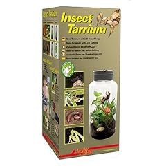 Lucky Reptile Insect Tarrium