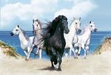 Clementoni - Puzzle - The Dream Horses