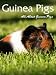All About Guinea Pigs
