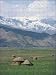 Photo Jigsaw 16x12 (40x30cm) Swat region by Robert Harding