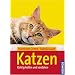 Katzen: Richtig halten und verstehen