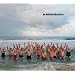 No Worries: Martin Parr