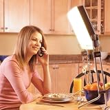 F/X Light Therapy Lamp (Silver Gray) (up to 3 high x 10" x 17" (lamp size))
