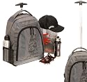 Trolley DANIEL RAY Rucksacktrolley ANAHEIM Schultrolley Rucksack | GRAU