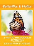 Monarch Butterflies & Violin