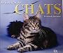 Le livre d'or des chats : Un mode fascinant
