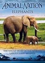 Animal Nation - Elephants [DVD]