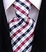Scott Allan Mens Gingham Plaid Necktie