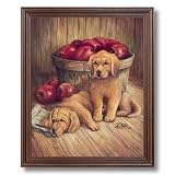 Country Puppy Dog Apple Basket Animal Picture Framed Art Print