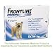 Frontline Spot On Flea Drops Medium Dog 10-20kg 3Pk