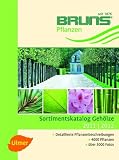Buch