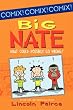 Big Nate: What Could Possibly Go Wrong?
