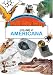 Search : AMERICANA