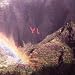 The Year of Hibernation
