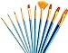 10Pieces Round Pointed Tip Nylon Hair Brush Set, Art Paint Brushes for Artist Student,Quality Value Set for Fine Art&Crafts Acrylic Painting,Blue