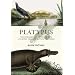 Platypus: The Extraordinary Story of How a Curious Creature Baffled the World