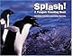 Splash!: A Penguin Counting Book