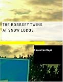 The Bobbsey Twins at Snow Lodge