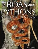 Boas and Pythons of the World