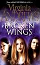 Broken Wings