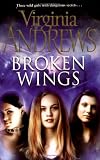 Broken Wings