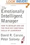 The Emotionally Intelligent Manager: How to Develop and Use the Four Key Emotional Skills of Leadership