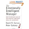 The Emotionally Intelligent Manager: How to Develop and Use the Four Key Emotional Skills of Leadership