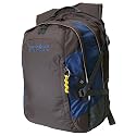 Samsonite X+III Laptop Backpack Notebook-Rucksack (braun/blau)