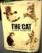 Artlist Collection THE CAT fleece throw blanket kids bedding Image