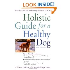 Holistic Guide for a Healthy Dog