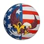 Themed USA Basketball