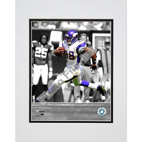 Photo File Minnesota Vikings Adrian Peterson Matted Photo