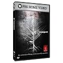 e2 Transport [DVD] [Region 1] [US Import] [NTSC]