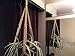 SHORT Macrame Plant Hanger SAND NO BEADS 35