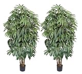 TWO 7' Pre-Potted Raphis Artificial Silk Trees