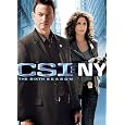 CSI: NY - The Sixth Season