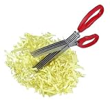 Take-Along 5-Blade Paper Shredder Scissor - Protect Yourself from Identity Theft!