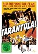 Tarantula