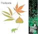 AMBIANCES DES GRANDES FORETS DU MONDE : THAILANDE