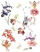 Brewster Spirit 350-0205 Peel & Stick Fairies European Wall Decals