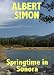 Springtime in Sonora (Henry Wright Mystery #2)