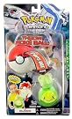 Pokemon Throw Ball...