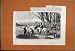 1860 COURSE MEETING HAMPTON PARK HORSES DOGS TEXT PRINT